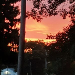 Meet your Posher, Jenifer